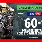 sky bet cheltenham free bet